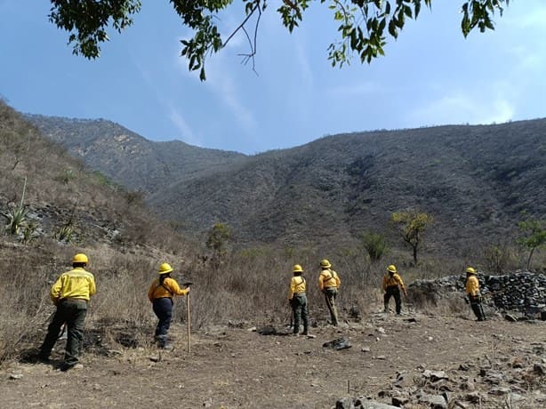 Avance de 95% en control de incendio en Maltrata-Nogales-Acultzingo