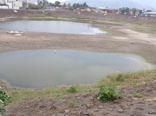 Se seca la Laguna del Chirimoyo: hay especies en riesgo; ayuntamiento ni sus luces