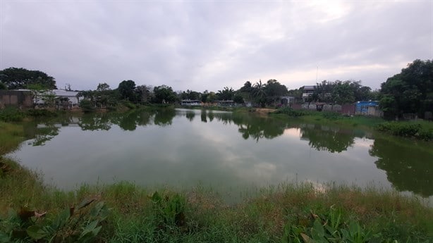 Conoce el tenebroso misterio de la Laguna del Naranjal en Agua Dulce, un enigma para los expertos | VIDEO