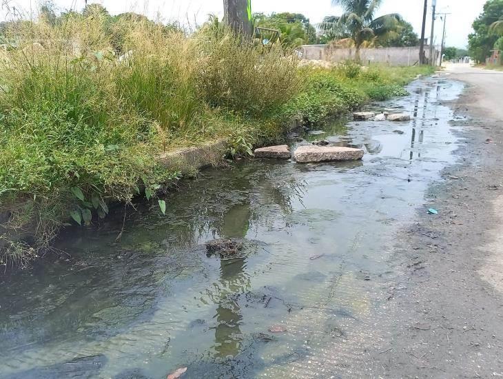 Acumulación de aguas negras en calles de Las Choapas generan molestia y enfermedades a ciudadanos