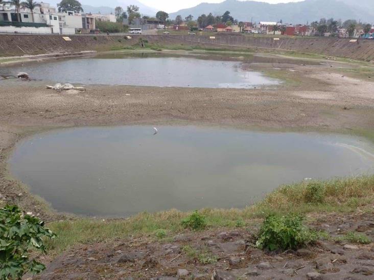 Alerta por dengue  obliga a limpieza de Laguna del Chirimoyo, en Orizaba