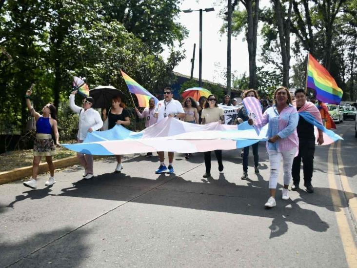 Acusan que partidos excluyeron a personas trans en Veracruz