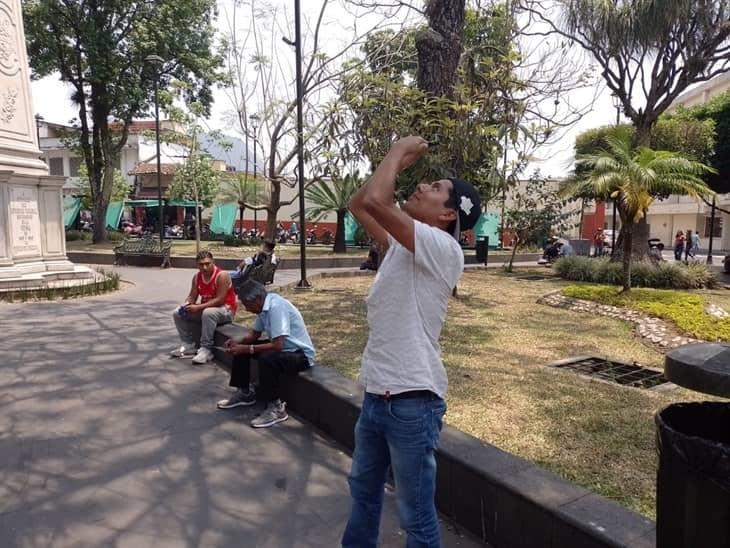 Se reúnen en parques para observar el eclipse solar en Orizaba