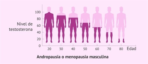 ¿Qué es la andropausia?: síntomas y cómo combatirla