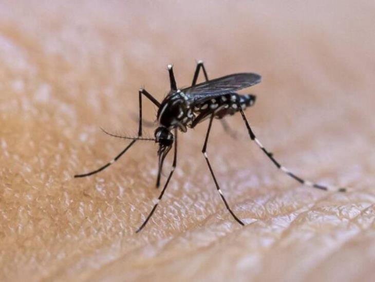 Nanchitecos que salieron positivos en dengue buscan atención médica de particulares