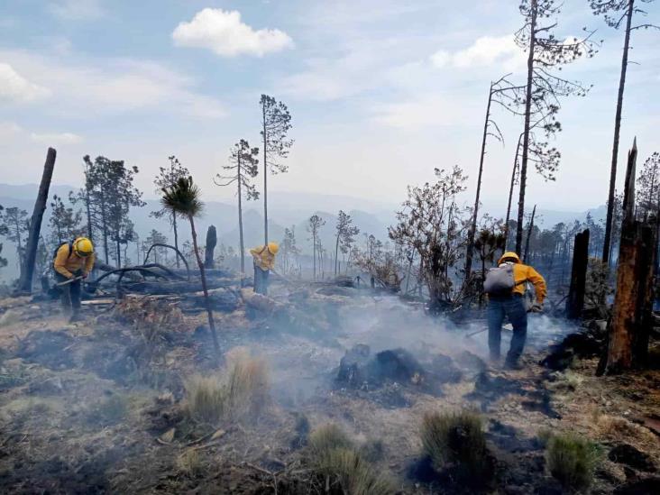 Avances en control de incendio en zona centro de Veracruz; 60 hectáreas afectadas