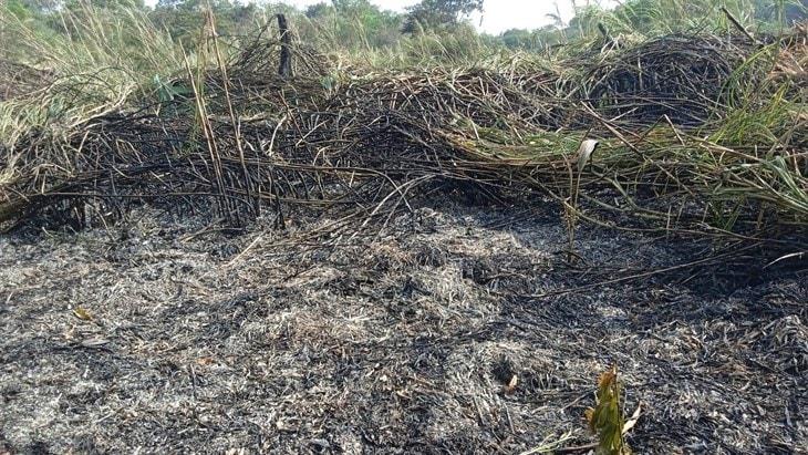 Fuerte incendio acaba con más de tres hectáreas de pastizales; en Colipa 