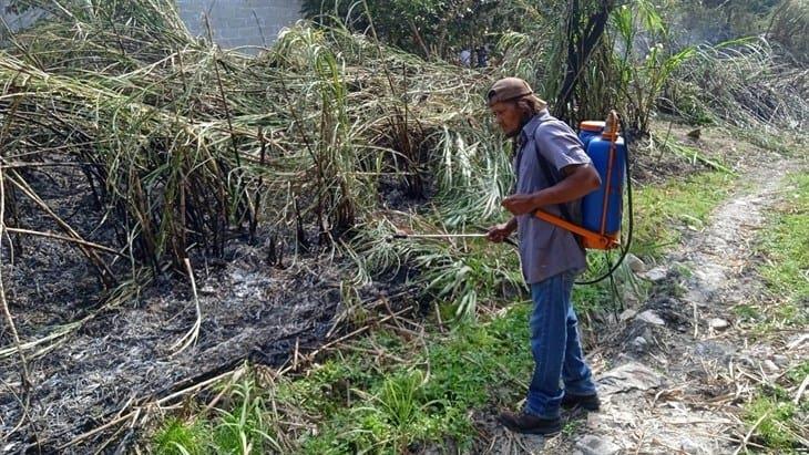 Fuerte incendio acaba con más de tres hectáreas de pastizales; en Colipa 