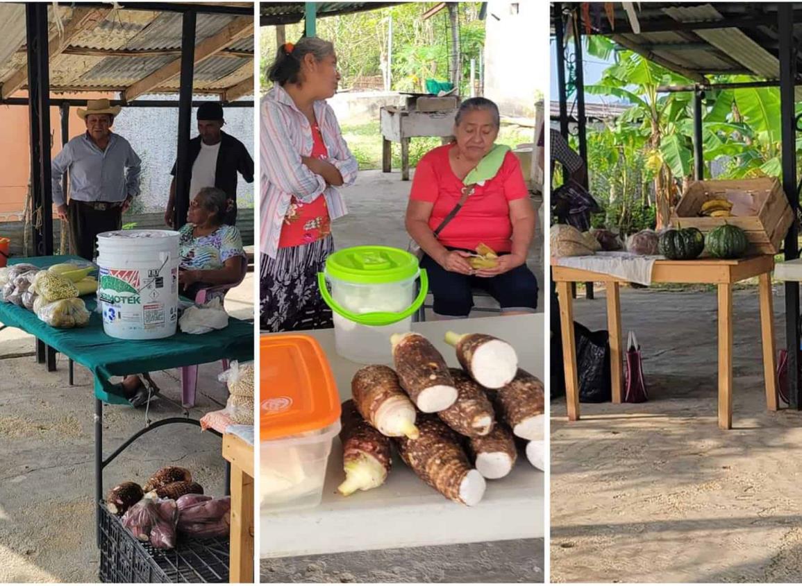 Agricultores ofrecen sus productos en la zona rural de Minatitlán