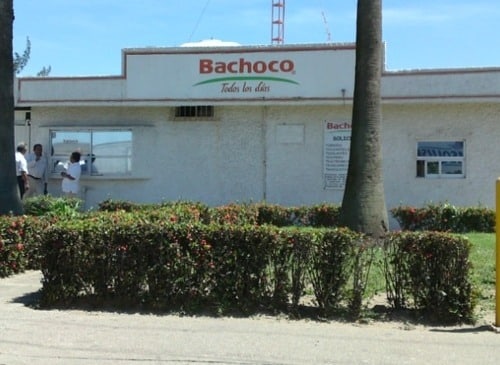 Bachoco tiene esta vacante en Coatzacoalcos, estos son los REQUISITOS