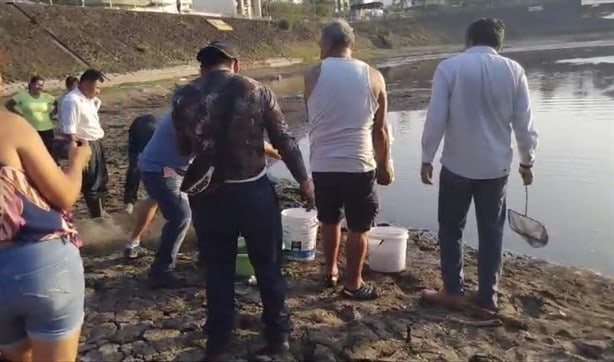 Habitantes de Orizaba rescatan a peces de la laguna de El Chirimoyo