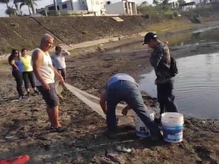 Habitantes de Orizaba rescatan a peces de la laguna de El Chirimoyo