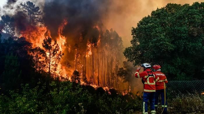 Reportan 72 incendios forestales en México; éste es el número en Veracruz