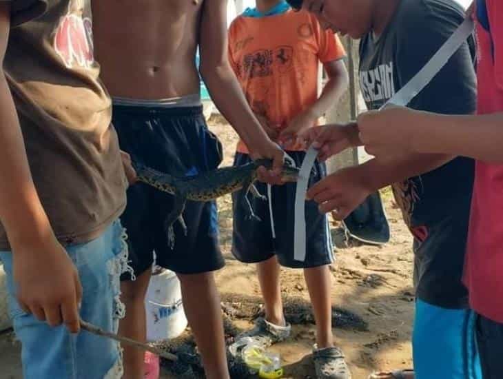 Niños rescatan reptil a orillas del río Coatzacoalcos en Villa Allende