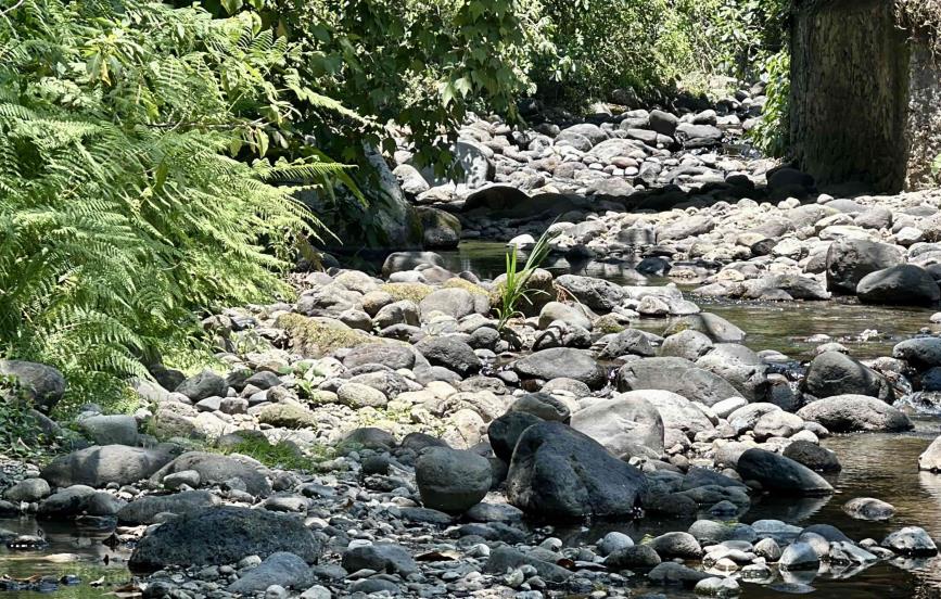 Seca de ríos, cada año más preocupante en región Xalapa