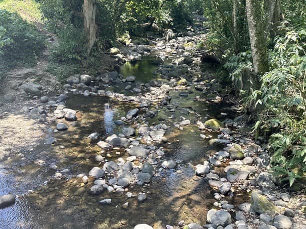 Seca de ríos, cada año más preocupante en región Xalapa