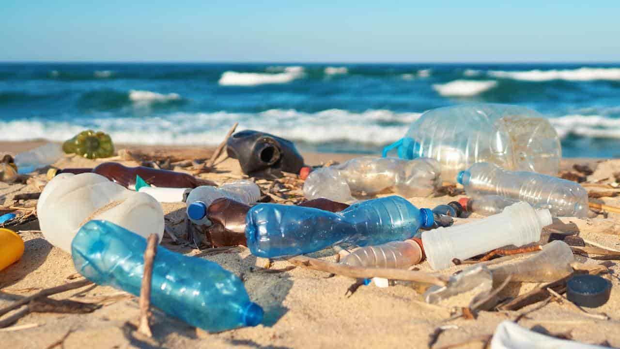 Planeta vs plásticos