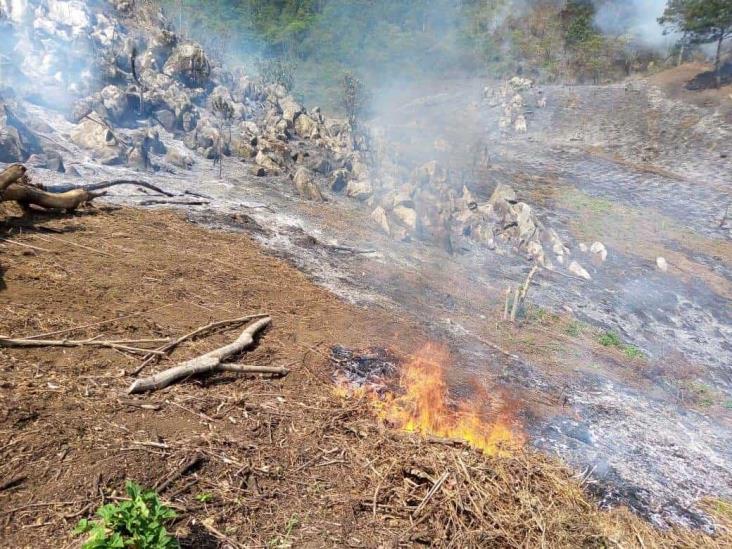 Nuevo incendio en Ixtaczoquitlán; habitantes piden ayuda