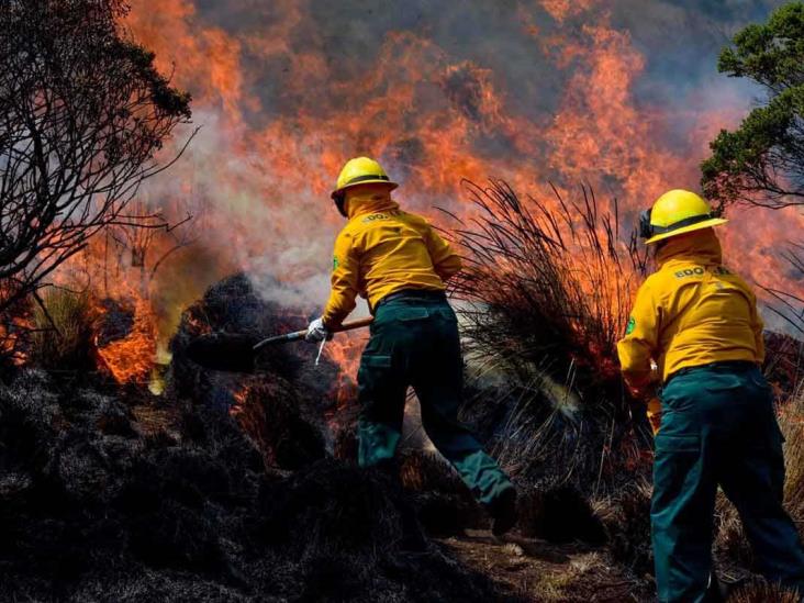 Veracruz registra 12 nuevos incendios forestales en una semana