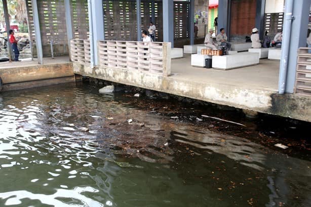 Estas son las graves afectaciones que dejan los derrames de hidrocarburo en el río Coatzacoalcos