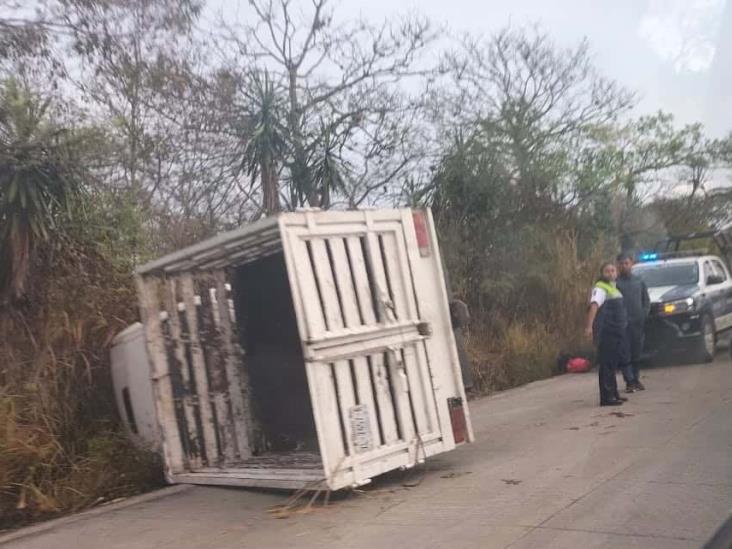 Camioneta vuelca en la carretera Las Trancas-Coatepec