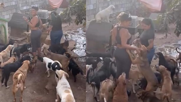 Acusan a Niurka de sacrificar perros para santería: ¿es real? 