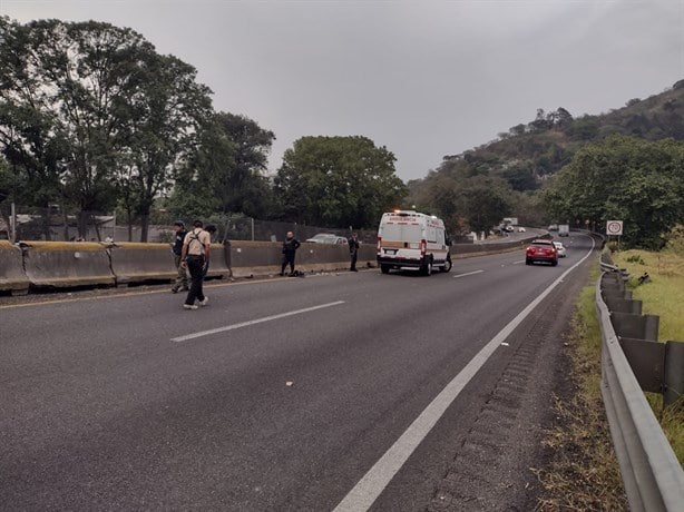Motociclista pierde el control y derrapa sobre la autopista Orizaba-Puebla