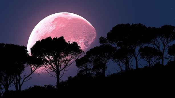 Luna Rosa 2024: ¿a qué hora se podrá ver hoy y por qué se llama así?