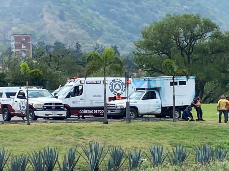Empleados municipales son atacados por abejas en Ixtaczoquitlán