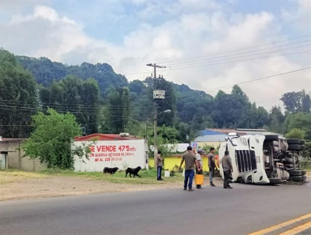 Tráiler vuelca sobre la carretera Xalapa-Perote; conductor resulta lesionado
