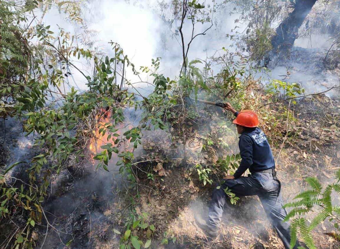 Incendios forestales y estiaje en Veracruz