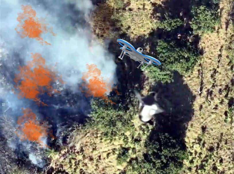 En este estado narco causa incendios con drones en áreas protegidas