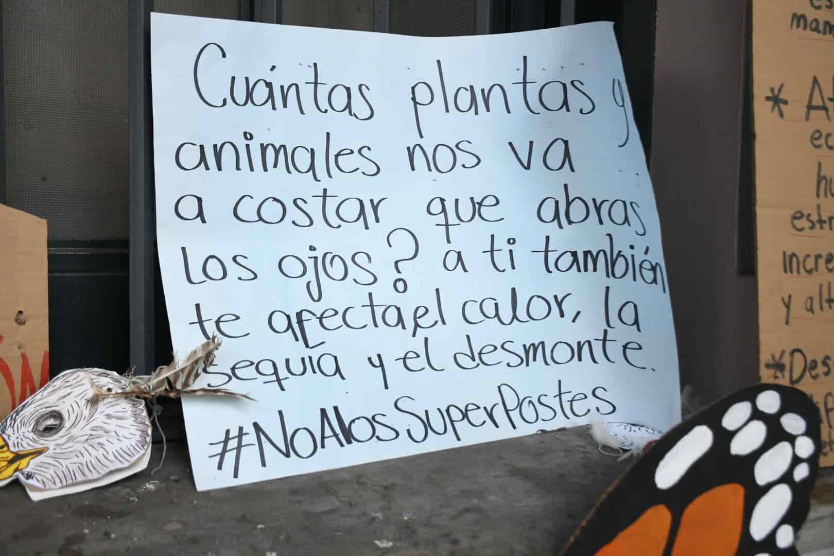 No a los superpostes en Xalapa; protestan ambientalistas