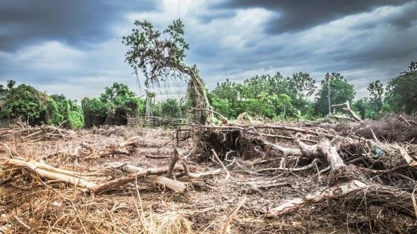 FISCALIZACIÓN SUPERIOR HERRAMIENTA PARA ENFRENTAR EL CAMBIO CLIMÁTICO