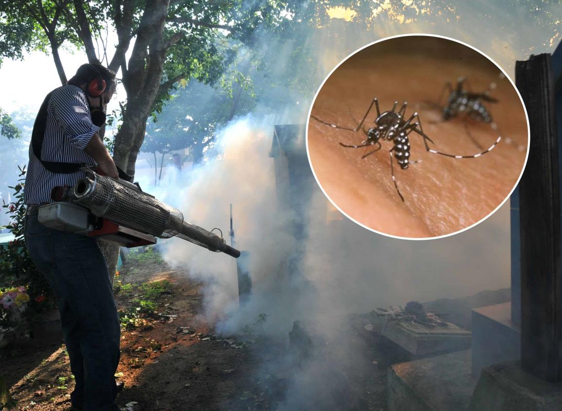 Alarma número de muertes por dengue en Veracruz: este lugar ocupa a nivel nacional