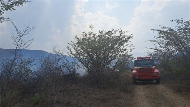 Incendio devora pastizal en Nogales