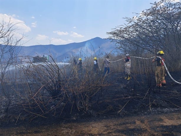 Incendio devora pastizal en Nogales
