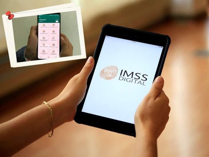 IMSS digital: ¿Cómo consultar la vigencia de derechos? 
