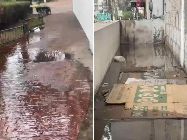 Habitantes de Xalapa urgen reparar fuga de agua en avenida Ávila Camacho