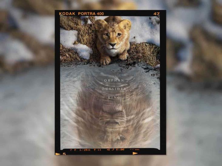 Mufasa: primer vistazo a la precuela de El Rey León; ¿cuándo se estrena en México?
