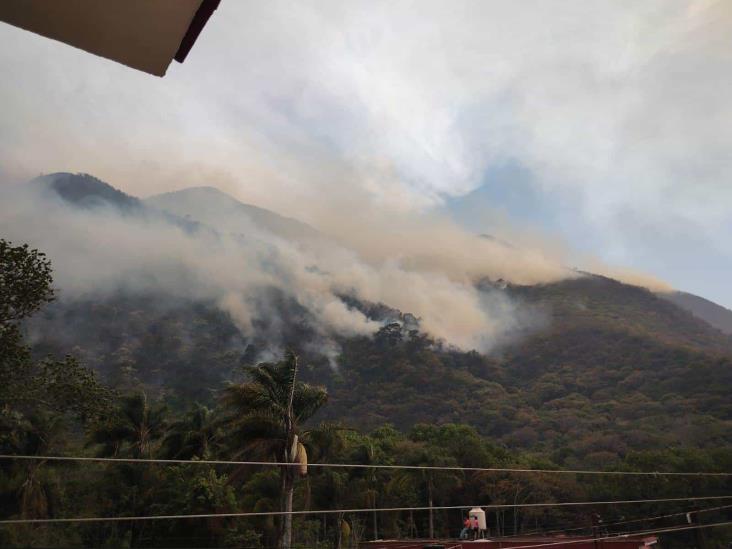 Alistan en Huiloapan reforestación tras incendio en cerro El Gentil