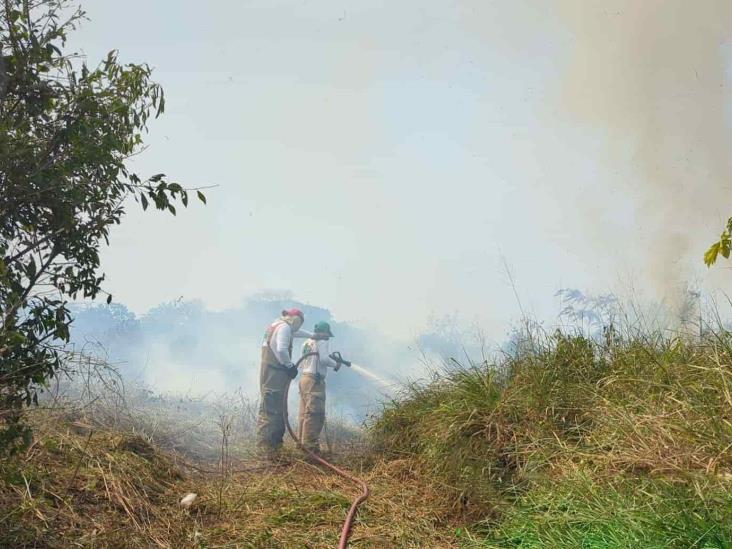 Sofocan incendio cerca de avícola en Vega de Alatorre