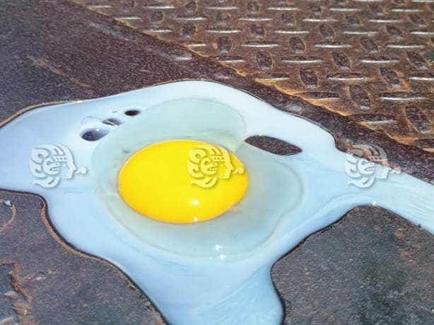¡Calor infernal! así se coció un huevo en plena calle de Coatzacoalcos; sensación térmica llegó a 52 grados | VIDEO