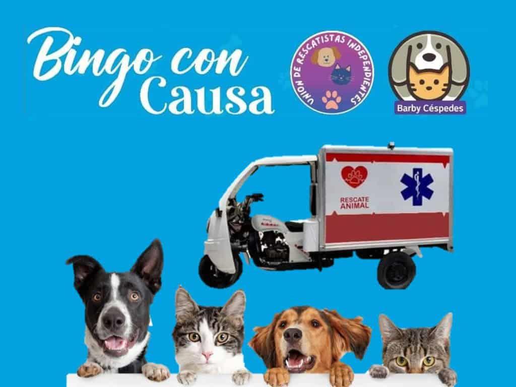 Bingo con causa: Así puedes apoyar para la Moto-Ambulancia animal en Coatzacoalcos