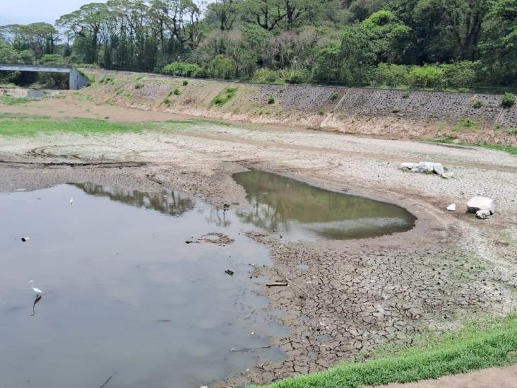 Meter animales a Laguna del Chirimoyo causará desequilibrio ecológico, advierte Diez Francos