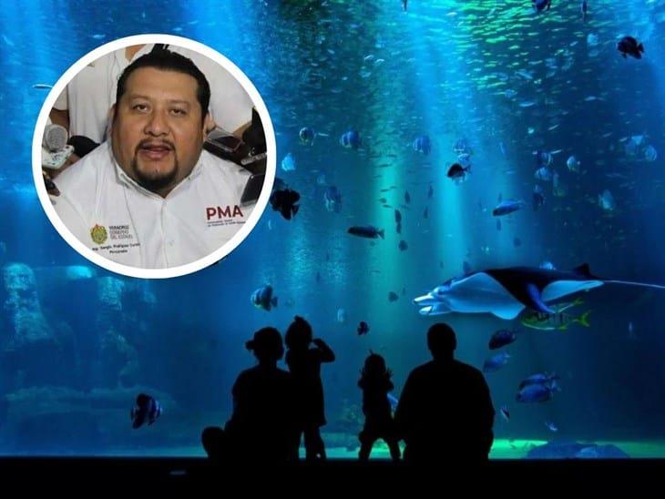 "No se han perdido especies en el Aquarium de Veracruz": Sergio Rodríguez
