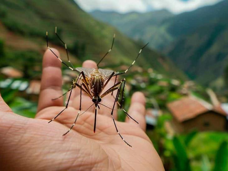 Calentamiento global y factores sociales disparan casos de dengue