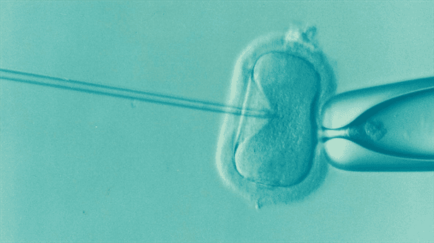 ¿Qué es la ovulación prematura y cómo afecta a la fertilidad?