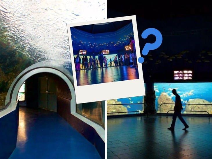 Turistas reportan molestias por clausura de áreas en el Aquarium de Veracruz 