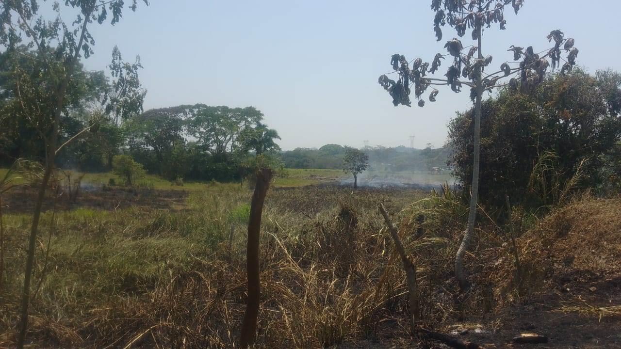 Incendio a punto de salirse de control en poblado de Moloacán | VIDEO